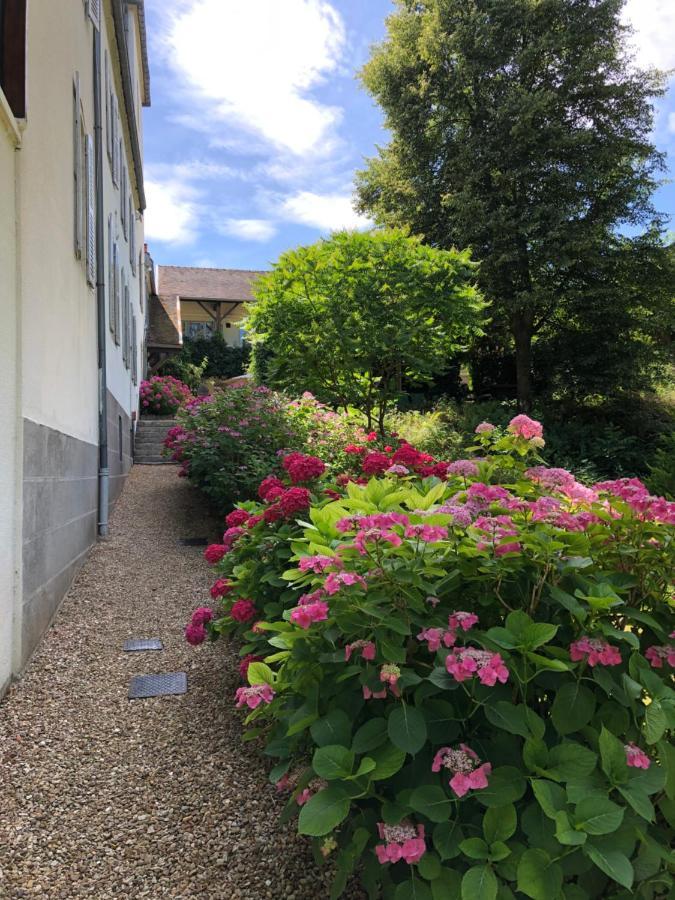 Chateau Saint Claude An Der Saone Mantoche Exterior photo